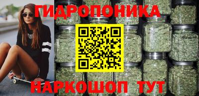 Альфа ПВП Боровичи