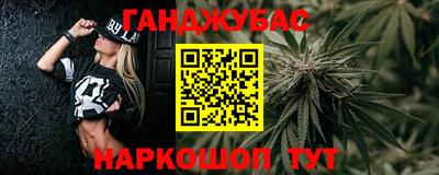 гидра Братск