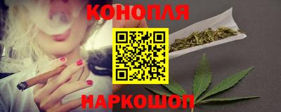 гидра Братск