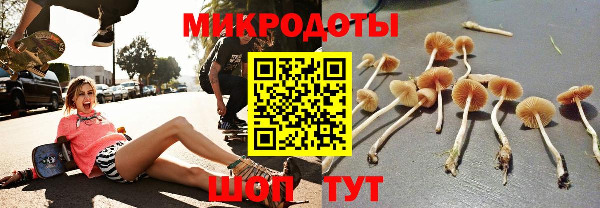как найти закладки  Вход с VPN  Воткинск  Псилоцибиновые грибы Psilocybe  Псилоцибиновые грибы Cubensis 
